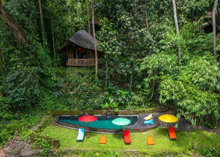 Bamboo Turtles *