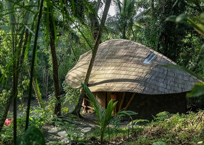Lodge Bamboo Turtles *