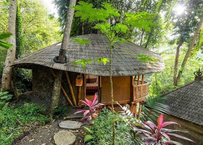 Bamboo Turtles Lodge