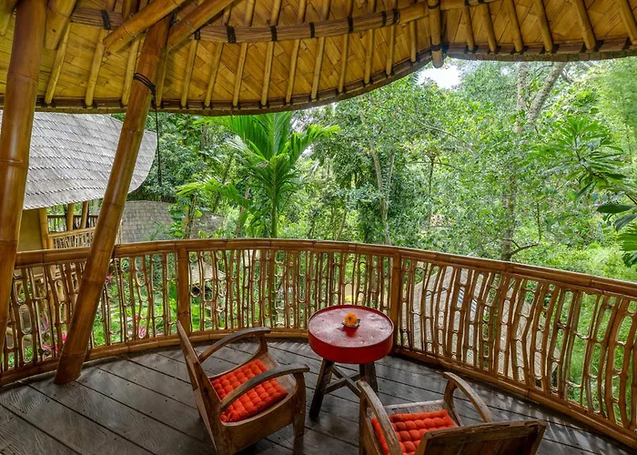 Lodge Bamboo Turtles *