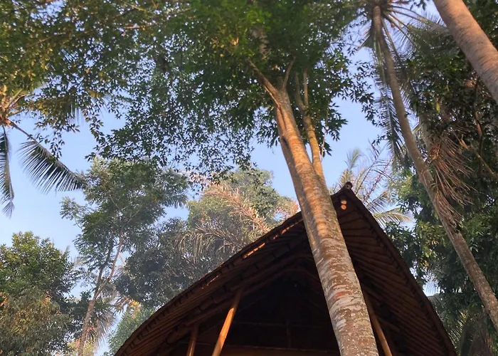 Lodge Bamboo Turtles *