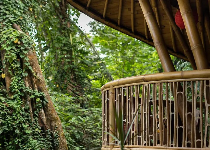 Lodge Bamboo Turtles *