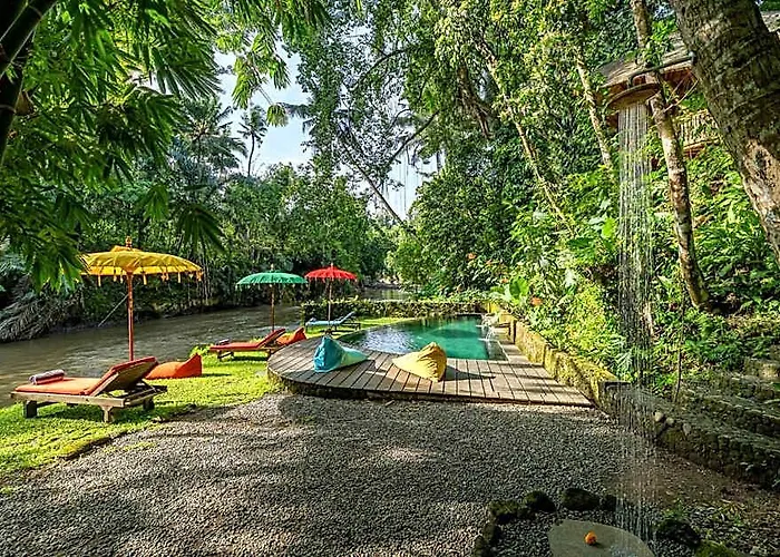 Lodge Bamboo Turtles *