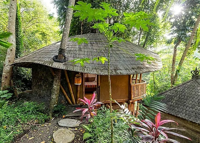 Lodge Bamboo Turtles *