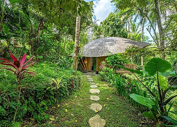 Lodge Bamboo Turtles *