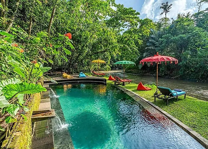 Lodge Bamboo Turtles *